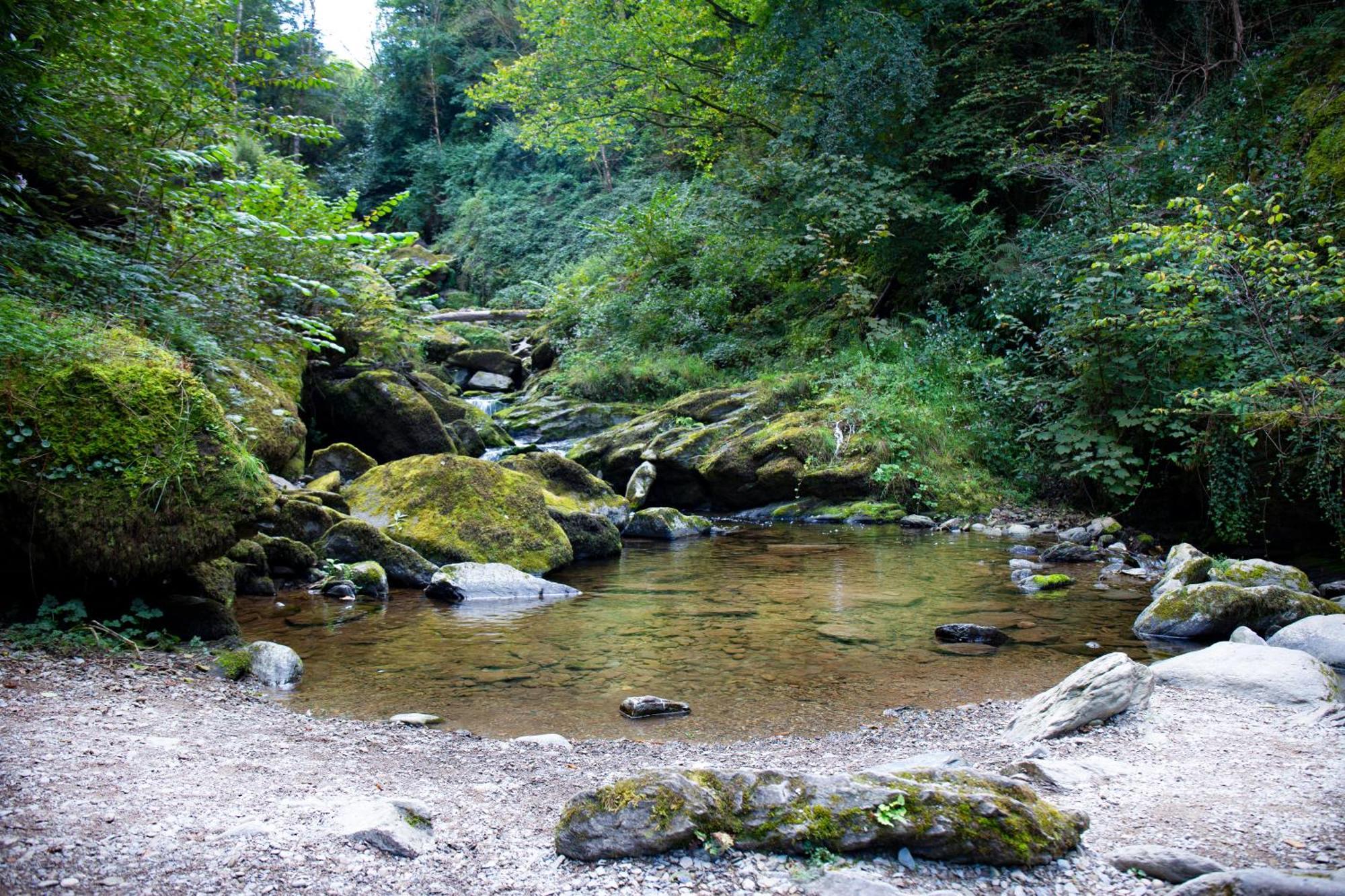 Tors Park Apartamento Lynmouth Exterior foto